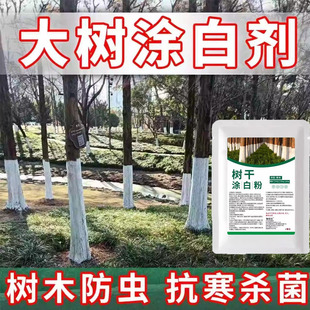 树木树干涂白剂大树涂白果树防虫防冻涂抹树干抗病防寒石灰涂白粉