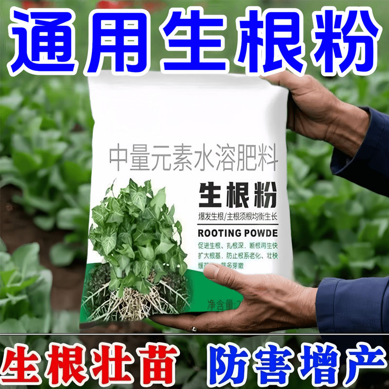 快速生根液绿植物通用扦插移栽