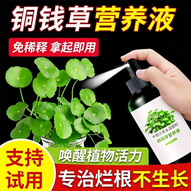 铜钱草专用营养液免稀释专用肥水培营养液植物肥料预防黄叶促发芽