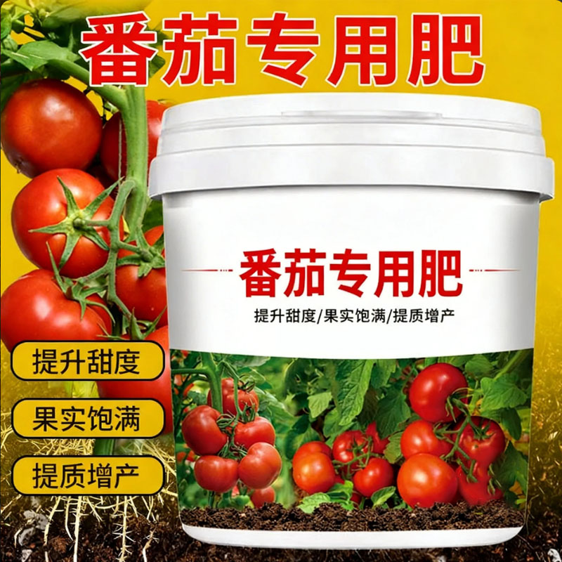 西红柿专用颗粒缓释肥提质增产