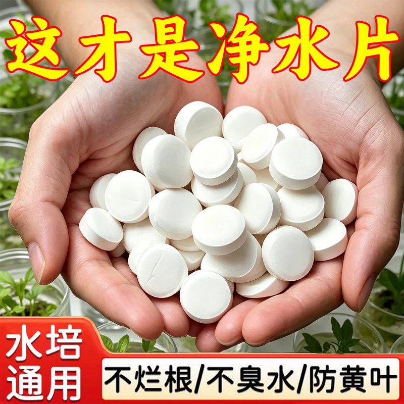 水培碗莲净水片杀菌保鲜不臭水