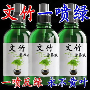 【四季爆芽】文竹专用肥营养液治叶子发黄枯瘦干尖烂根落叶促生长