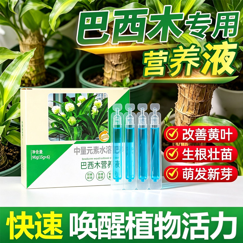 巴西木专用营养液促爆芽防黄叶