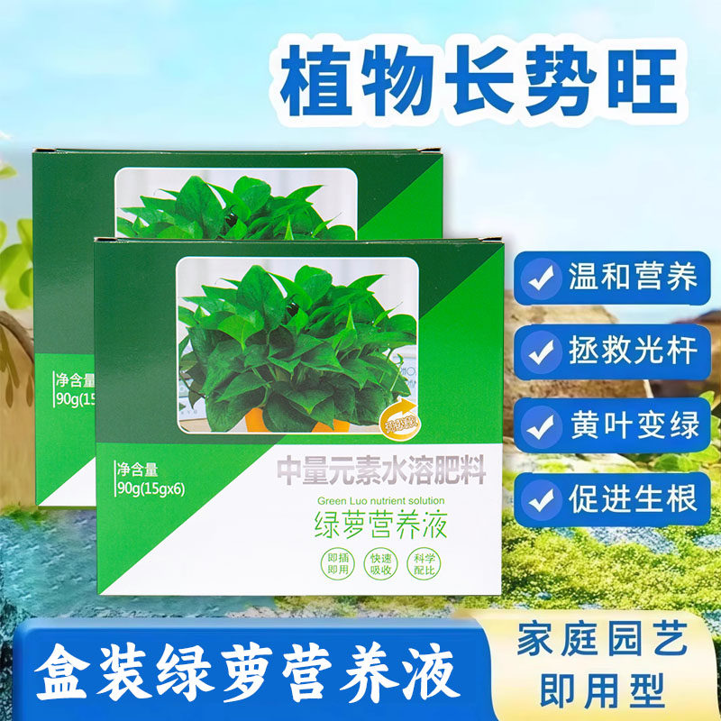 室内绿植通用营养液水培多肉
