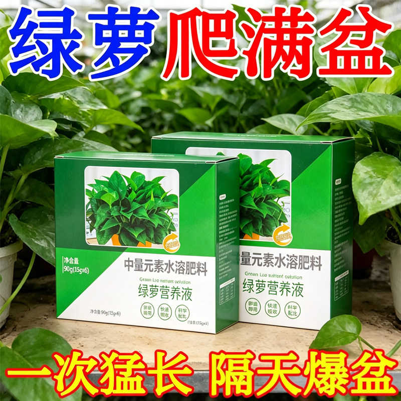 绿萝专用营养液防黄叶室内水培