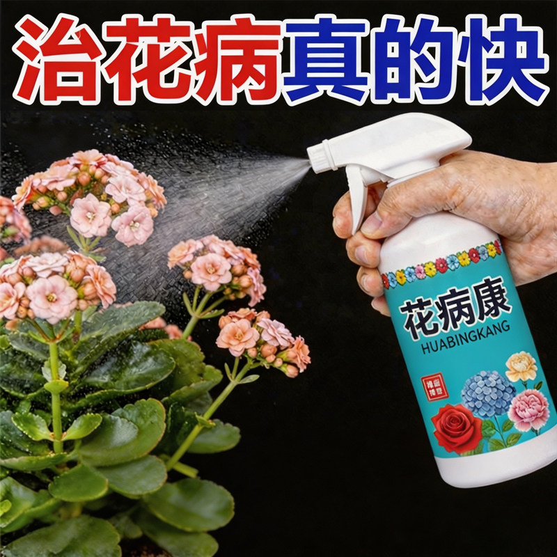 花病康月季黑斑病即喷专用喷雾