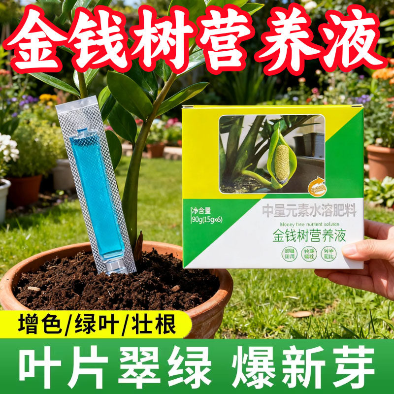 金钱树爆芽防黄叶生根营养液
