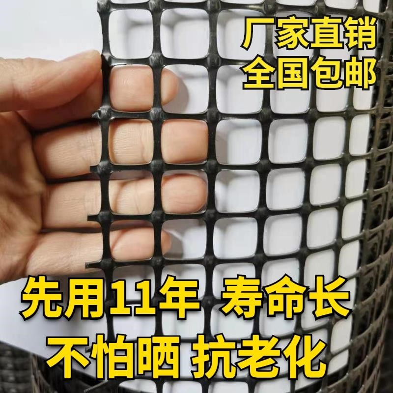 养鸡塑料网格漏粪小孔养殖网围栏隔离护栏网黑色鸡鸭鹅防护网垫板,标准件/零部件/工业耗材,输送带/传送带,淘宝优惠券,粉丝福利购,淘宝优惠卷