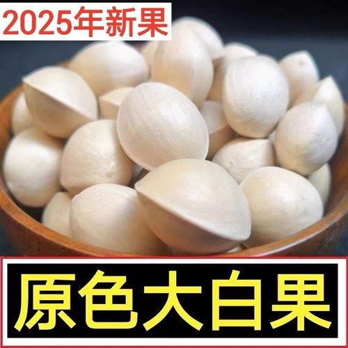 2025年新鲜大白果圆形银杏果带壳桂林海洋乡老树生百果白果仁饱满
