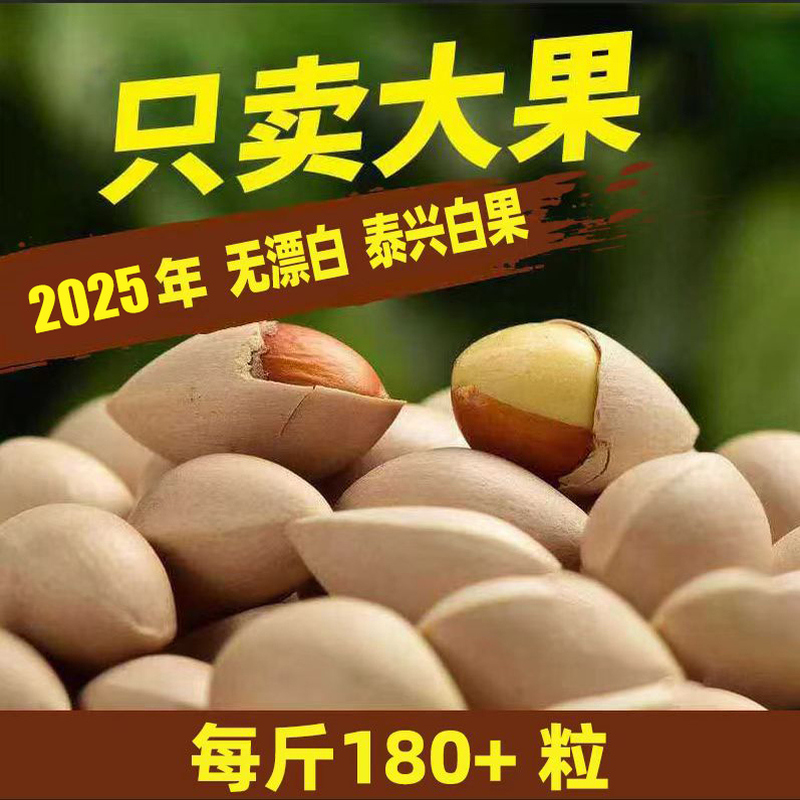 包邮手工挑选农家新鲜大白果泰州特产2025泰兴大佛指生白果银杏果
