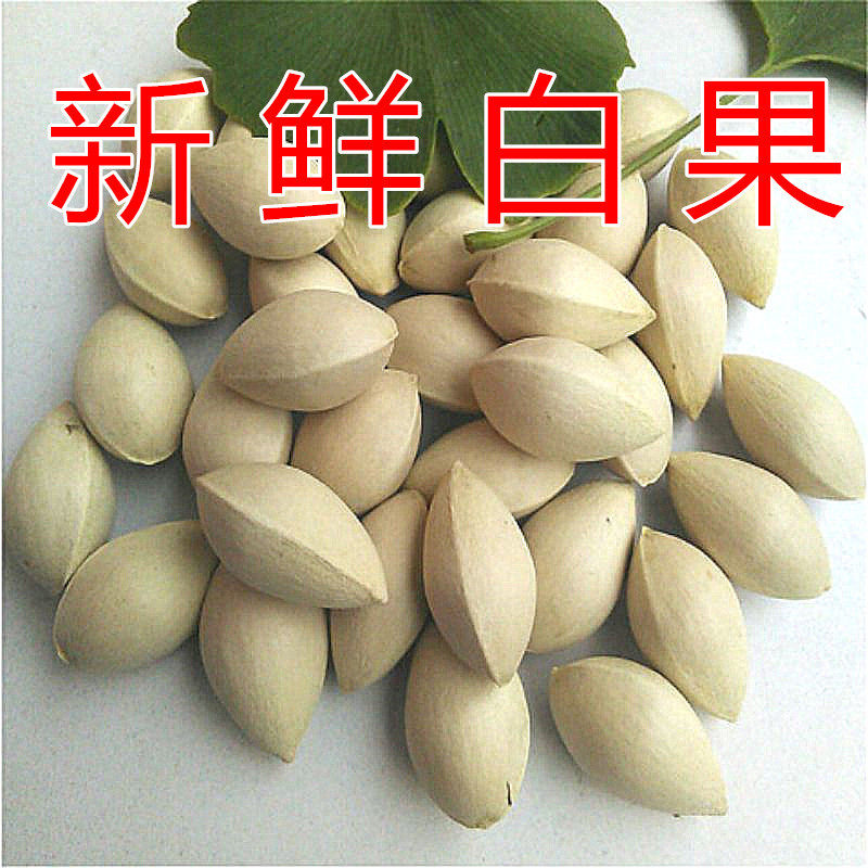 2025年新鲜白果银杏果1-5斤装包邮无漂白生百果大佛指带壳银杏仁