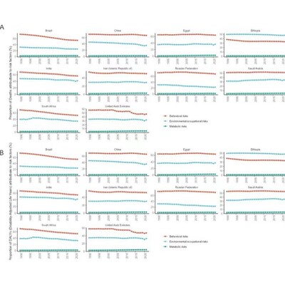 GBD数据库分析 GBD全球疾病负担数据库挖掘课题思路R代码代分析
