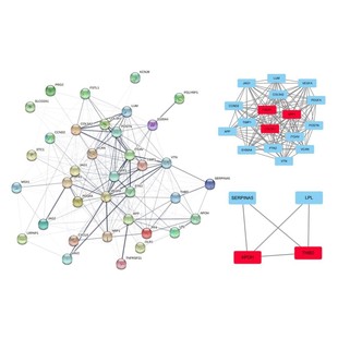 KEGG 生物信息学GO GSVA基因集 CancerSubtypes肿瘤分型生信套路