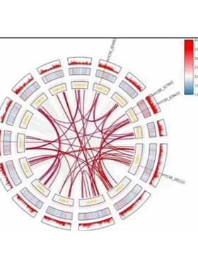 KEGG Brite分类 层级结构 功能层级体系 全面功能注释 专业报告