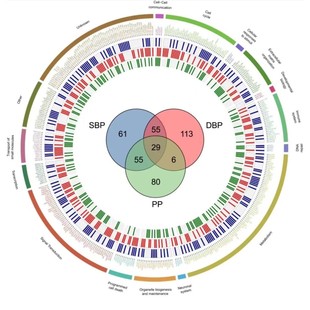 Java接单安卓代做python代编程web****设计R语言c php代编写 代码