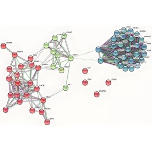 基因学苑完全从零基础学生信 教程数据分析单细胞测序基因组16s