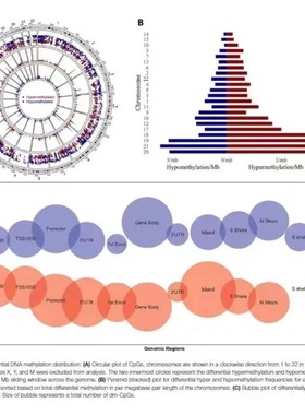R语言前五期+单细胞合集  包括GEO芯片数据