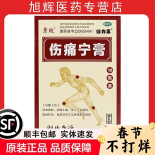 伤痛宁膏10贴装活血散瘀消肿止痛关节扭伤肌肉拉伤韧带拉伤