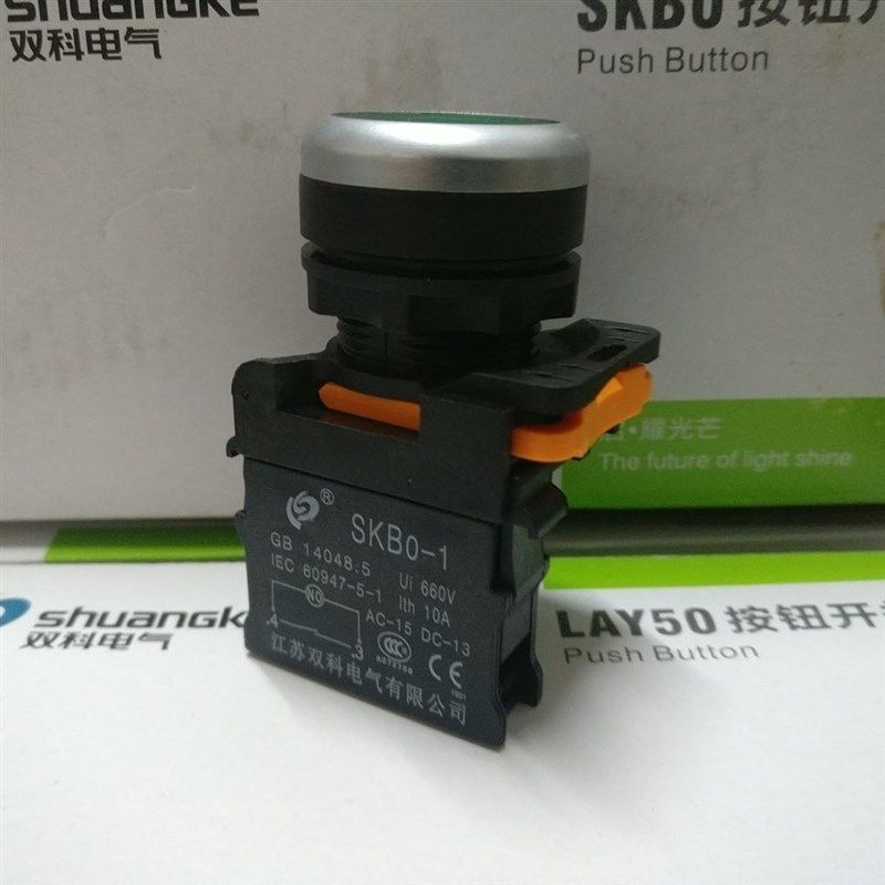 双科电气  平钮复位瞬动按钮开关 SKB0-PA01 PA10