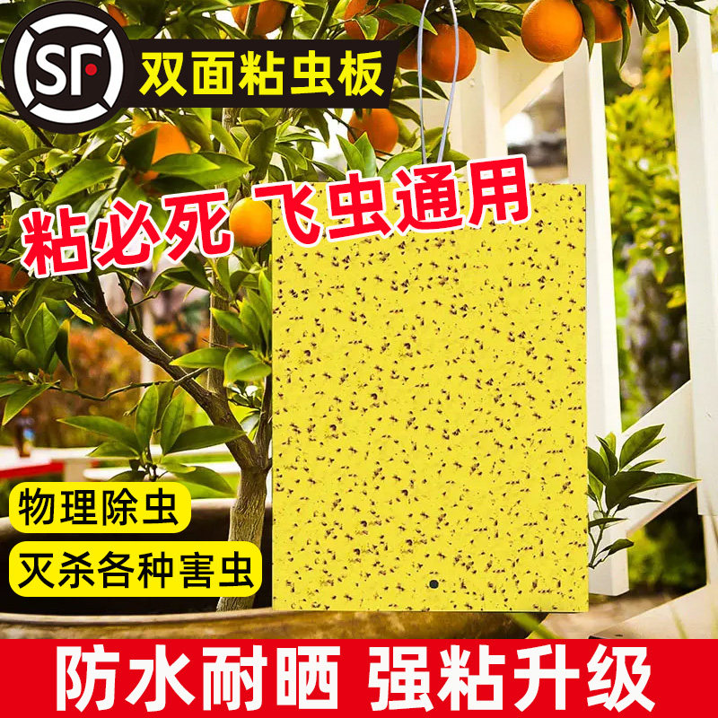 粘虫板黄板双面诱虫强黏粘蝇板灭花盆小黑飞蓝色蓟马大棚沾蚊纸贴