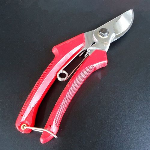 卉林牌 园艺剪刀 园艺工具修枝剪 小树枝剪修花剪 剪枝剪果枝剪