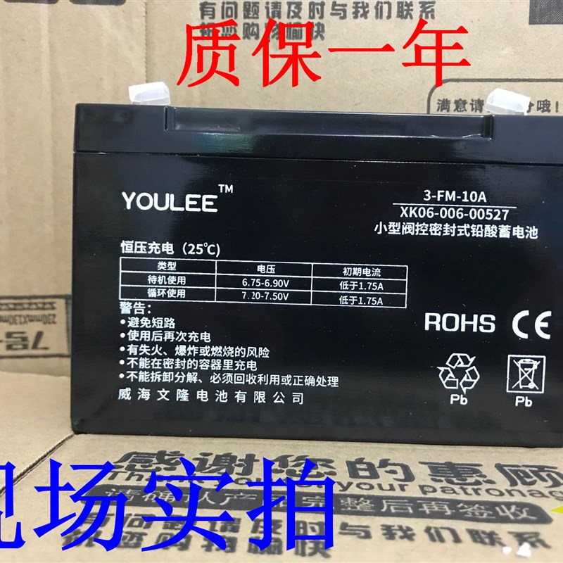 YOULEE 蓄电池 3-FM-10A 6V10AH/ 玩具车 童车 小孩子车用 电瓶