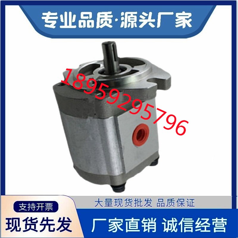 KOMPASS康百世P101RP01GT齿轮泵P102,P127,P135,P104,05,P106/7/9