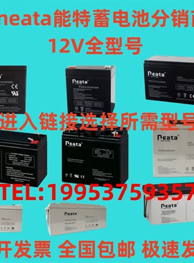 neata能特蓄电池NT12V7AH9AH12AH14AH17A24A28A38A40A65A100A消防