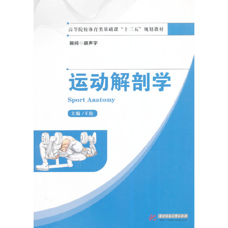 【正版书籍】运动解剖学王松华中科技大学出版社9787560998459