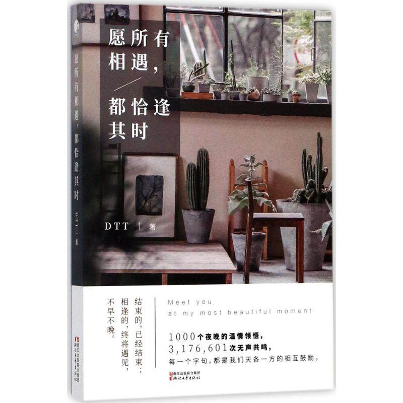 【正版图书】愿所有相遇都恰逢其时DTT著文学书浙江文艺出版社