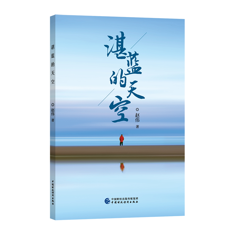 【保正版】湛蓝的天空赵伟著文学书中国财政经济出版社