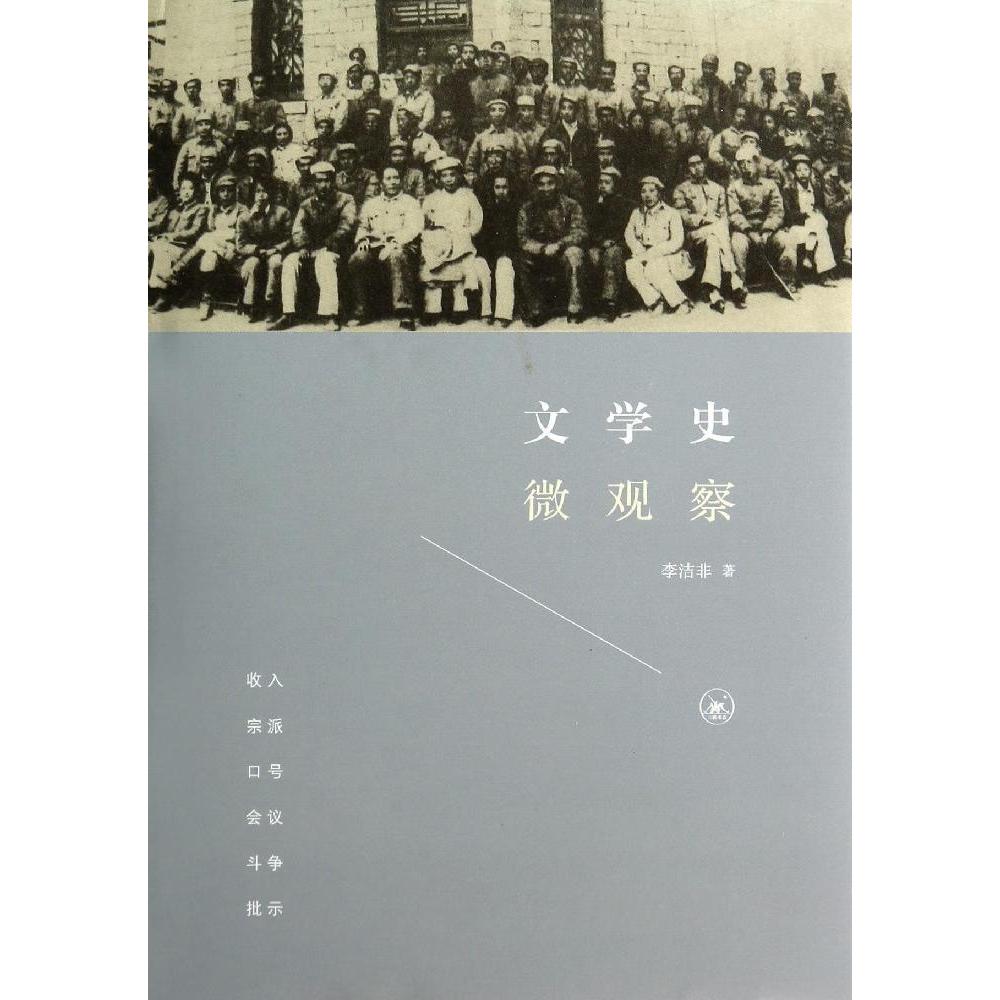 【保正版】文学史微观察李洁非责编卫纯三联书店9787108048622