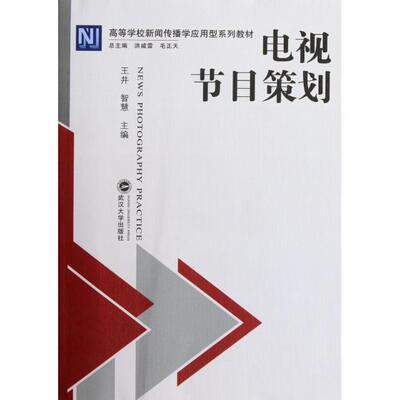 【正版书籍】电视节目策划王井武汉大学出版社9787307093089
