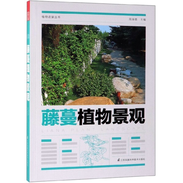【正版书籍】植物造景丛书藤蔓植物景观 周厚高著 江苏凤凰科学技术出版社 9787571302337
