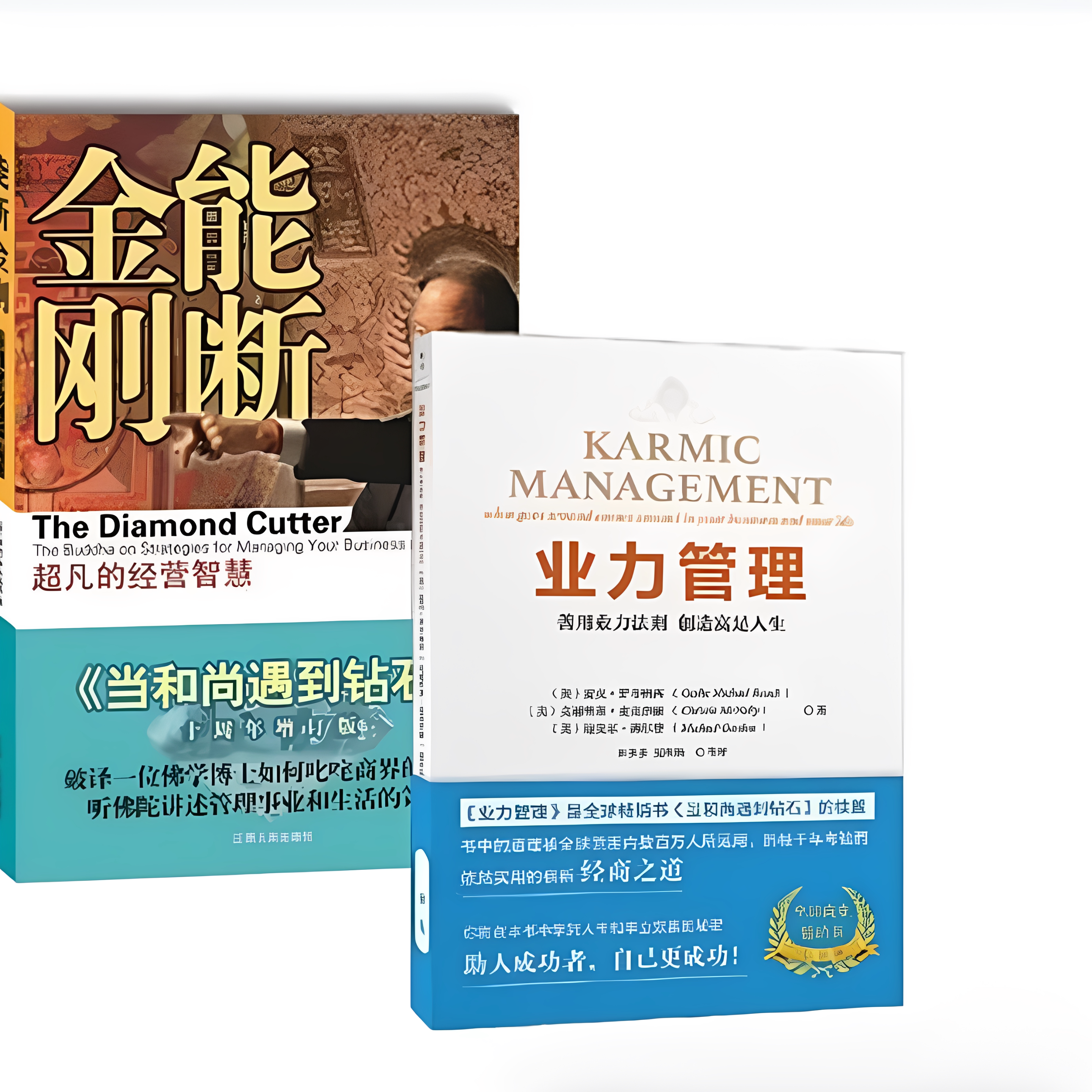 能断金刚超凡的经营智慧业力管理善用业力法则创造富足人生美麦克罗奇著夏理扬田多多译江西人民出版社9787210060161C