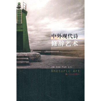 【正版图书】中外现代诗修辞艺术李天靖严志明石生白桦周梦蝶柏桦茱萸多多卢文丽秦巴子海岸文学书上海文艺出版社
