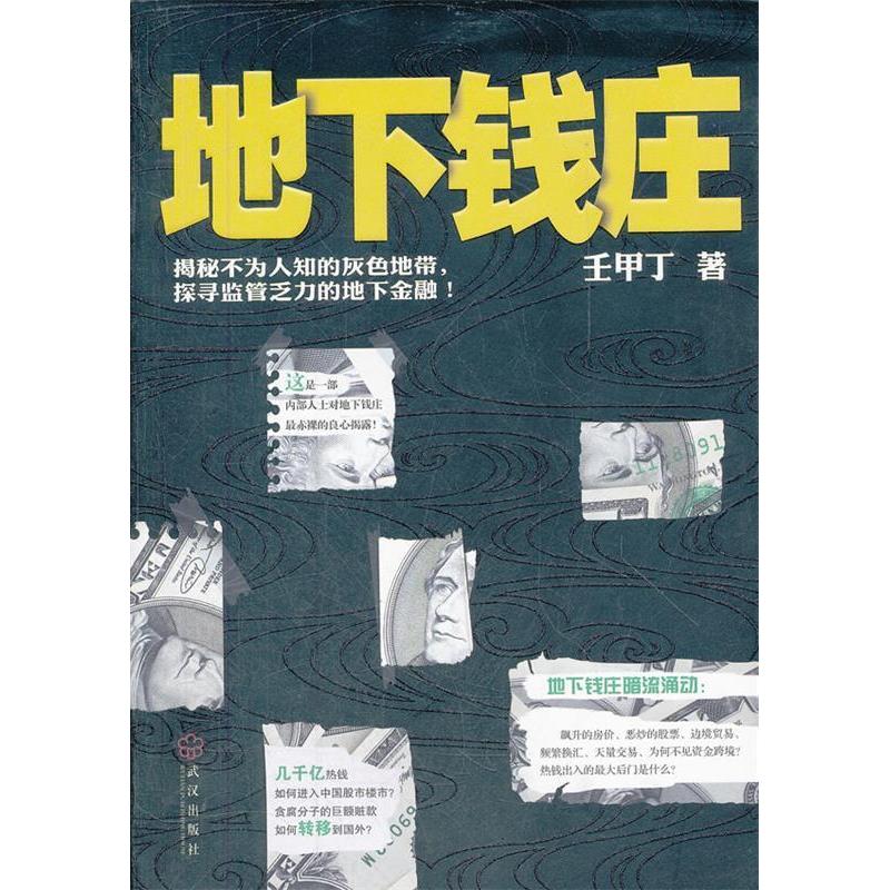 【正版图书】地下钱庄壬甲丁著武汉出版社9787543063761