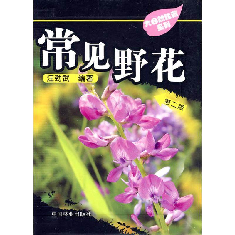 【保正版】常见野花第二版汪劲武著中国林业出版社9787503856570