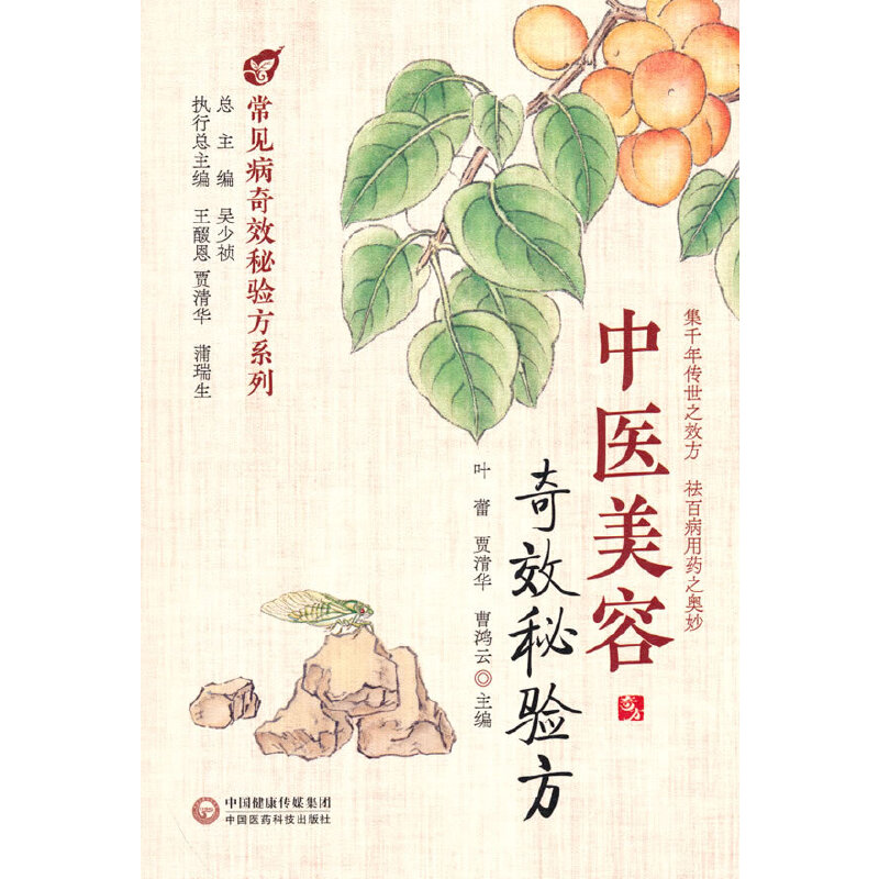 正版图书】中医美容秘验方叶蕾中国医药科技出版社9787521423129