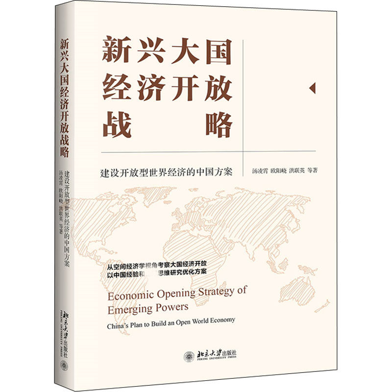 【正版图书】新兴大国经济开放战略建设开放型世界经济的中国方案汤凌霄欧阳·i洪联英经济书籍北京大学出版社