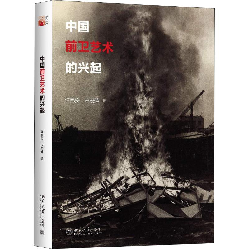 【正版图书】中国前卫艺术的兴起汪民安宋晓萍北京大学出版社9787301286616
