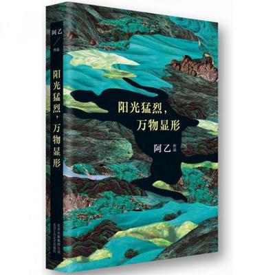 正版书|阳光猛烈万物显形阿乙著北京十月文艺出版社9787530214091