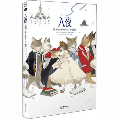 【正版图书】入夜猫nekosuke作品集日猫nekosukeTokyoko译天闻角川出品湖南美术出版社9787535691354