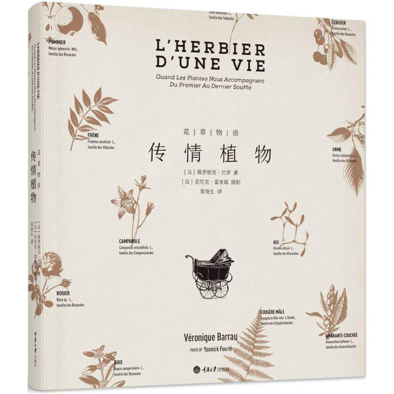 【保正版】花草物语传情植物薇罗妮克巴罗著袁俊生译重庆大学出版社9787568909358