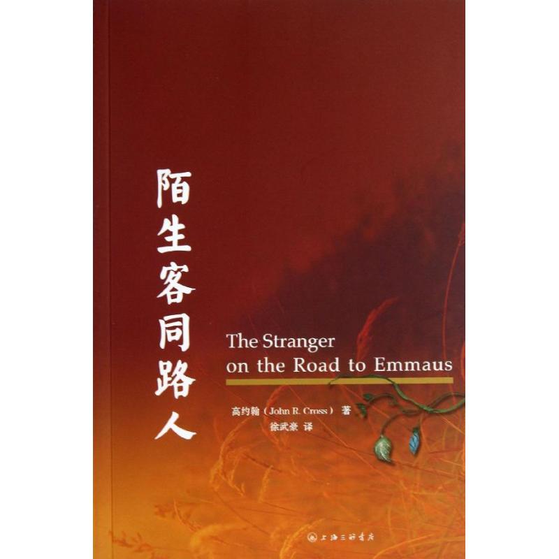 正版图书】陌生客同路人加高约翰著上海三联书店9787542641571