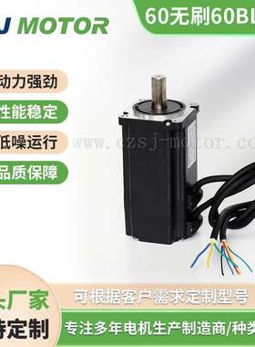 S60BL120直流无刷电机24V48V310V300W0.95Nm3000转大功率厂家现货