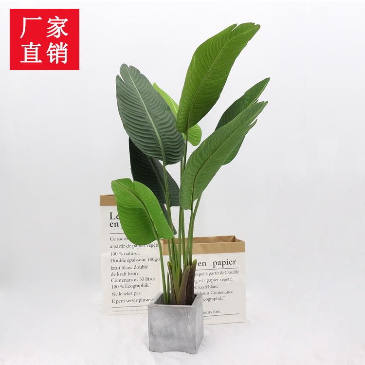 仿真盆栽植物旅人蕉欧式家居装饰树绿植叶子旅人蕉套装美人蕉