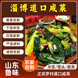 农家手工油焖黄瓜淄博特产道口咸菜下饭菜下酒拌饭拌面即食热卖