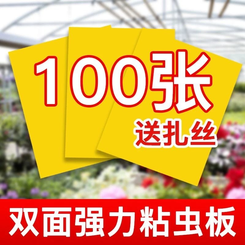 黄板双面强粘虫板诱捕飞虫