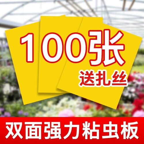 黄板双面强粘虫板诱捕飞虫